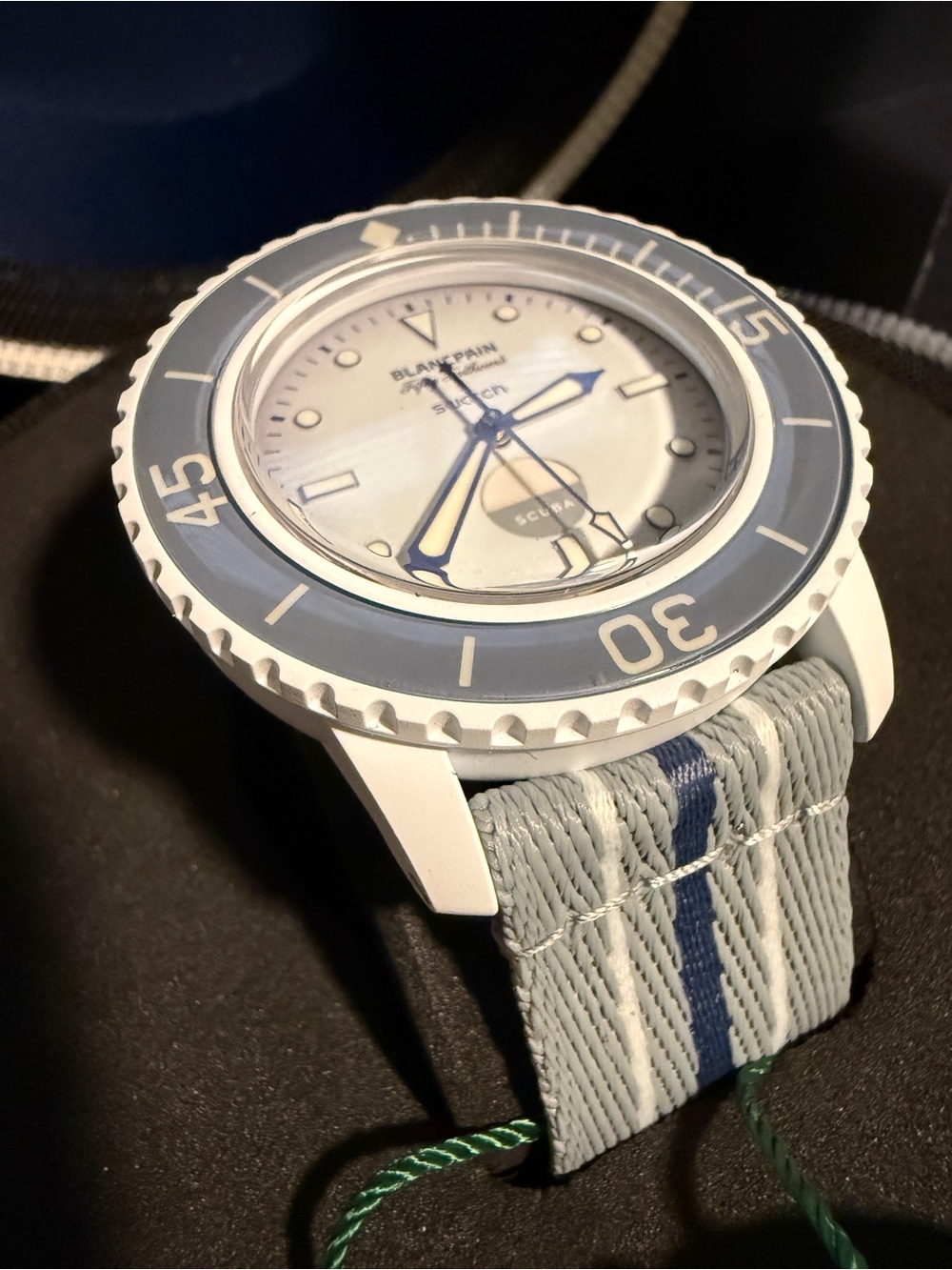 Swatch White & Blue Ceramic-Style Dive Watch